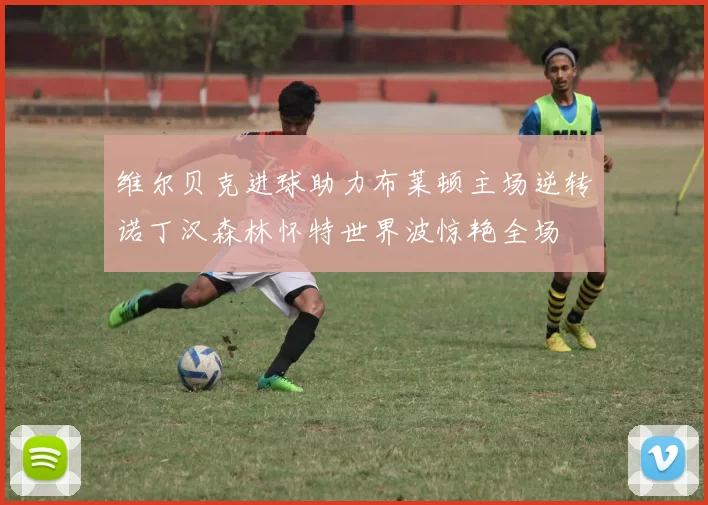维尔贝克进球助力布莱顿主场逆转诺丁汉森林怀特世界波惊艳全场