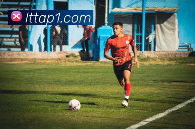 乐天堂体育app平台生态图