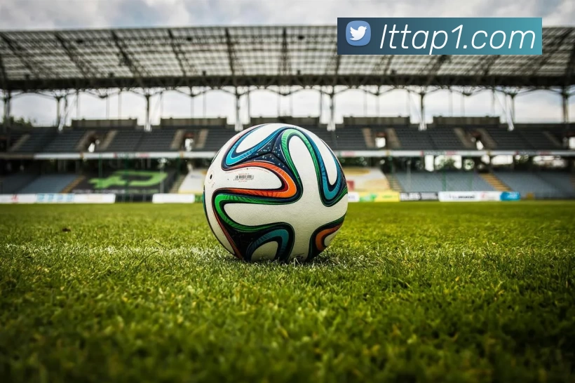 乐天堂体育appAPP 封面图